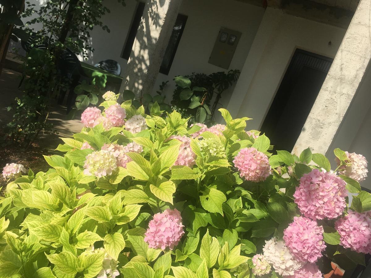 Guesthouse Star Mostar Exterior photo